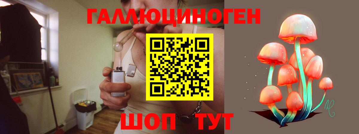 Камень-на-Оби  Псилоцибиновые грибы Magic Shrooms  Вход с VPN  Псилоцибиновые грибы MAGIC MUSHROOMS 